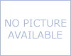 (image for) DG457 Digital Glassbreak Bus Detector